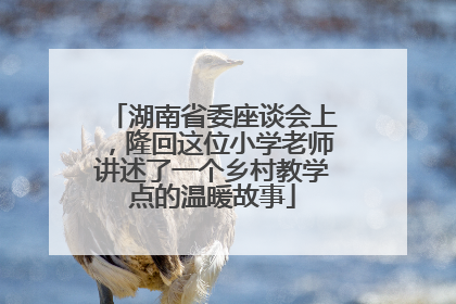 湖南省委座谈会上，隆回这位小学老师讲述了一个乡村教学点的温暖故事