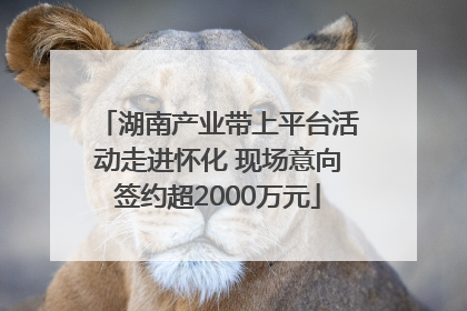 湖南产业带上平台活动走进怀化 现场意向签约超2000万元