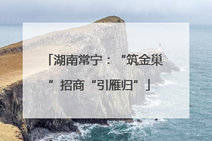 湖南常宁：“筑金巢”招商“引雁归”