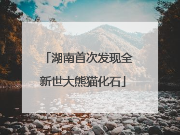 湖南首次发现全新世大熊猫化石