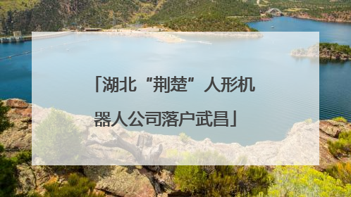 湖北“荆楚”人形机器人公司落户武昌
