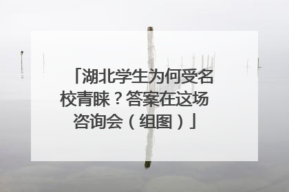 湖北学生为何受名校青睐？答案在这场咨询会（组图）