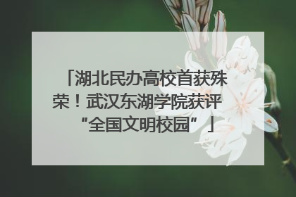 湖北民办高校首获殊荣！武汉东湖学院获评“全国文明校园”