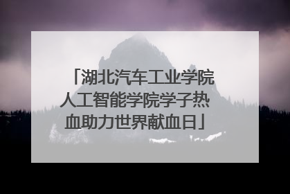 湖北汽车工业学院人工智能学院学子热血助力世界献血日
