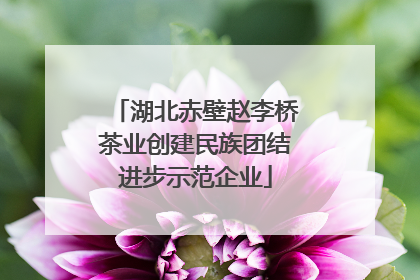 湖北赤壁赵李桥茶业创建民族团结进步示范企业