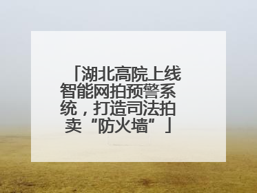 湖北高院上线智能网拍预警系统，打造司法拍卖“防火墙”