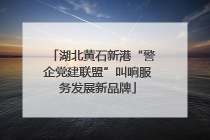 湖北黄石新港“警企党建联盟”叫响服务发展新品牌