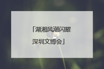 湖湘风潮闪耀深圳文博会
