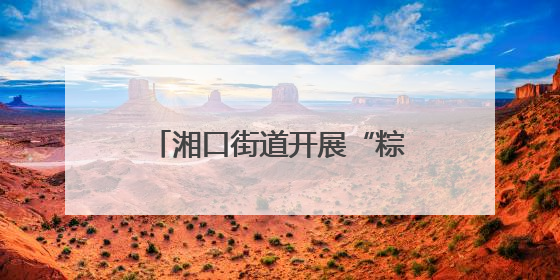 湘口街道开展“粽香话文明 邻里一家亲”端午节活动