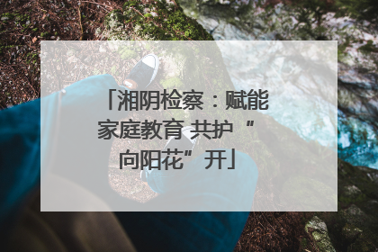 湘阴检察：赋能家庭教育 共护“向阳花”开