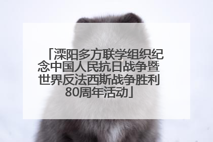溧阳多方联学组织纪念中国人民抗日战争暨世界反法西斯战争胜利80周年活动