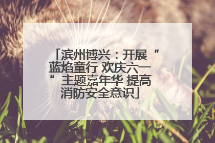 滨州博兴：开展“蓝焰童行 欢庆六一”主题嘉年华 提高消防安全意识