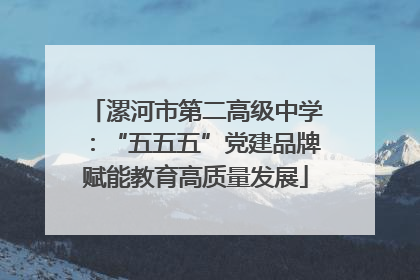 漯河市第二高级中学：“五五五”党建品牌赋能教育高质量发展
