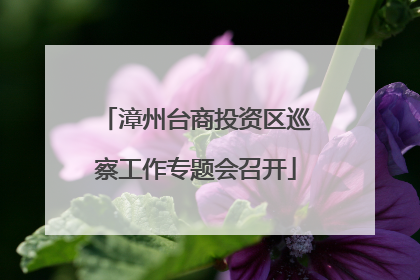 漳州台商投资区巡察工作专题会召开