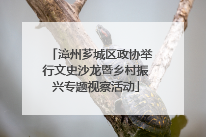 漳州芗城区政协举行文史沙龙暨乡村振兴专题视察活动
