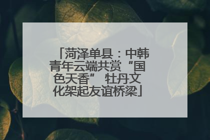 菏泽单县：中韩青年云端共赏“国色天香” 牡丹文化架起友谊桥梁