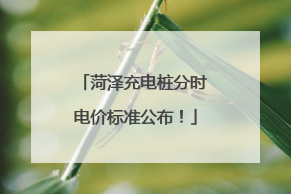 菏泽充电桩分时电价标准公布！