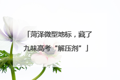 菏泽微型地标，藏了九味高考“解压剂”