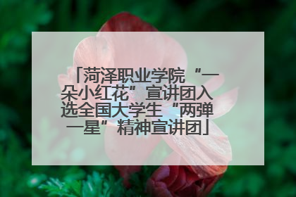 菏泽职业学院“一朵小红花”宣讲团入选全国大学生“两弹一星”精神宣讲团