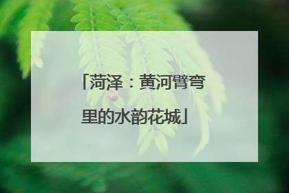 菏泽：黄河臂弯里的水韵花城