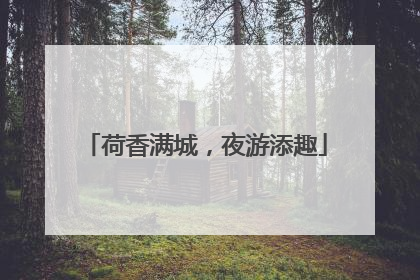 荷香满城，夜游添趣