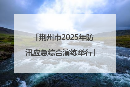 荆州市2025年防汛应急综合演练举行