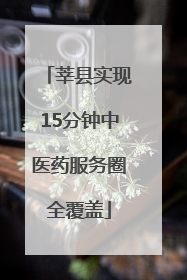 莘县实现15分钟中医药服务圈全覆盖