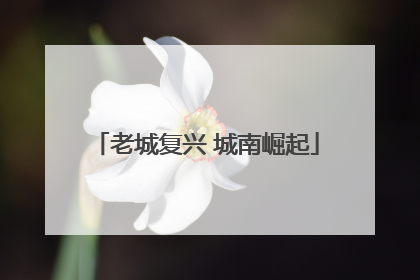 老城复兴 城南崛起