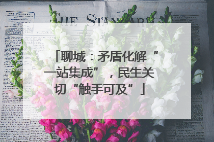 聊城：矛盾化解“一站集成”，民生关切“触手可及”