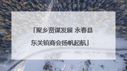 聚乡贤谋发展 永春县东关镇商会扬帆起航