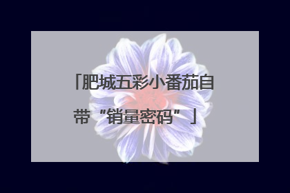 肥城五彩小番茄自带“销量密码”
