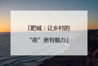 肥城：让乡村的“夜”更有魅力