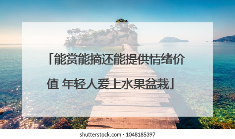 能赏能摘还能提供情绪价值 年轻人爱上水果盆栽