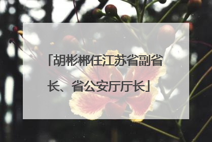 胡彬郴任江苏省副省长、省公安厅厅长