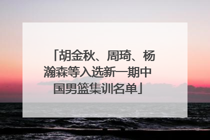 胡金秋、周琦、杨瀚森等入选新一期中国男篮集训名单