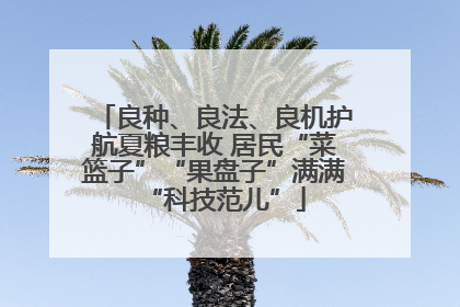 良种、良法、良机护航夏粮丰收 居民“菜篮子”“果盘子”满满“科技范儿”