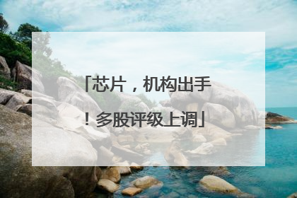 芯片，机构出手！多股评级上调