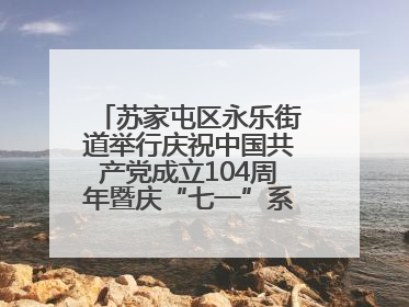 苏家屯区永乐街道举行庆祝中国共产党成立104周年暨庆“七一”系列活动