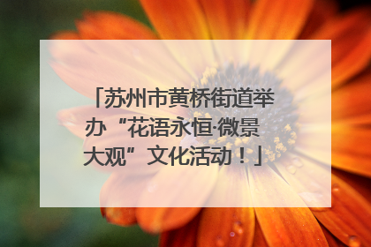 苏州市黄桥街道举办“花语永恒·微景大观”文化活动！