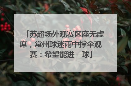苏超场外观赛区座无虚席，常州球迷雨中撑伞观赛：希望能进一球