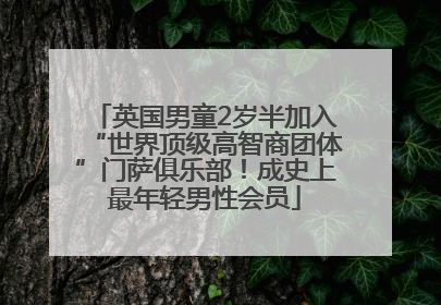 英国男童2岁半加入“世界顶级高智商团体”门萨俱乐部！成史上最年轻男性会员