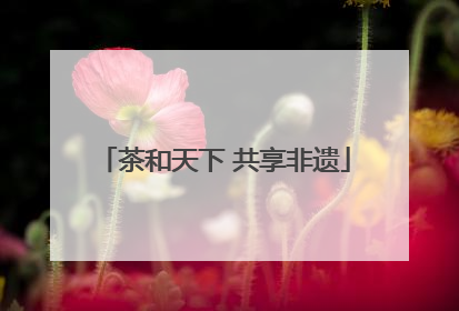 茶和天下 共享非遗