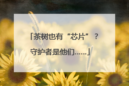 茶树也有“芯片”？守护者是他们……