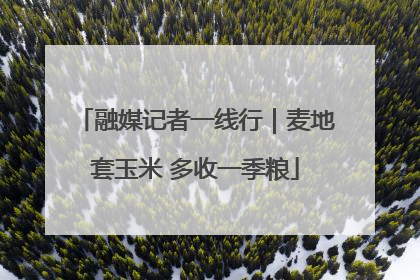 融媒记者一线行｜麦地套玉米 多收一季粮