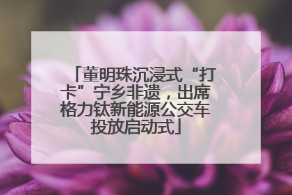 董明珠沉浸式“打卡”宁乡非遗，出席格力钛新能源公交车投放启动式