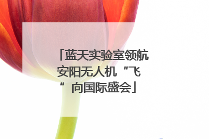 蓝天实验室领航 安阳无人机“飞”向国际盛会