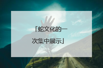 蛇文化的一次集中展示