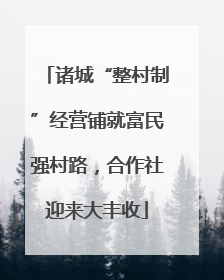 诸城“整村制”经营铺就富民强村路，合作社迎来大丰收