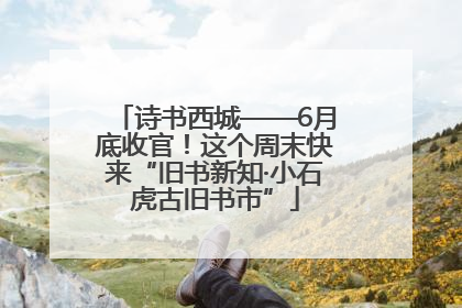 诗书西城——6月底收官！这个周末快来“旧书新知·小石虎古旧书市”