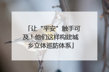 让“平安”触手可及！他们这样构建城乡立体巡防体系